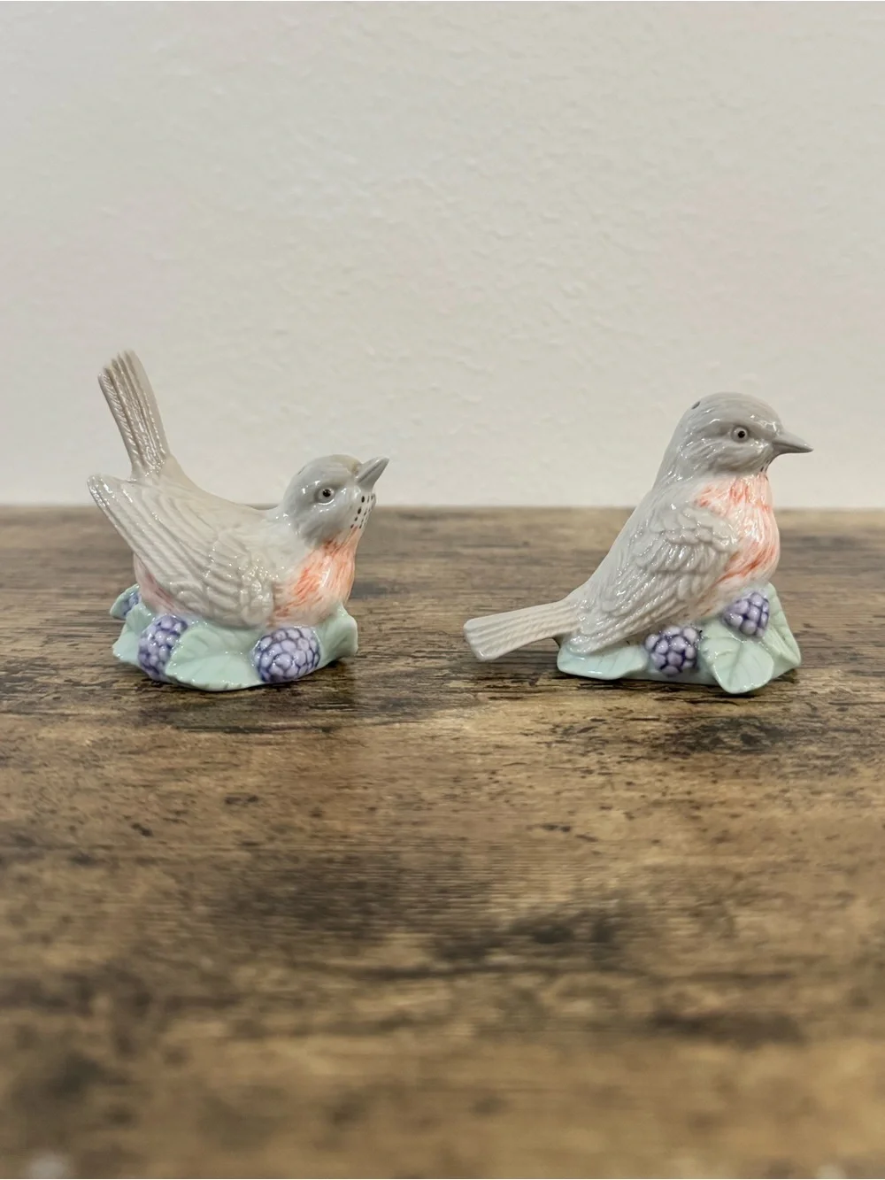 Vintage Bird Salt & Pepper Shakers | Porcelain Floral Berry